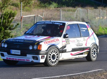 Peugeot 205 gti 1.9 