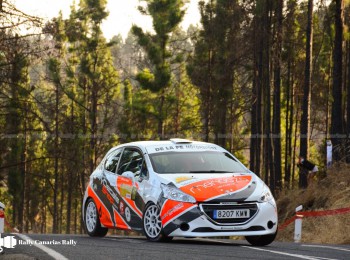 Peugeot 208 r2