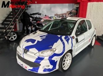Peugeot 206 gti grupo a oficial holanda.