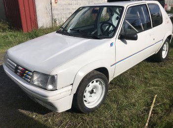 Proyecto de 205 rallye