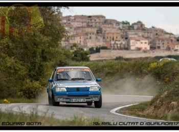 Se vende peugeot 205 rallye