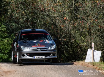 Peugeot 206 xs gra