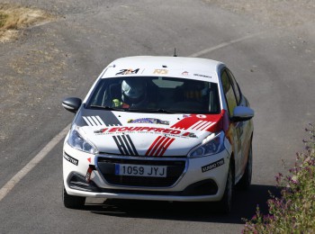 Peugeot 208 n3 homologado