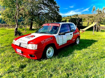 Peugeot 205 rallye  grupo a  historico 