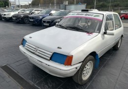 205 autocross - slalom