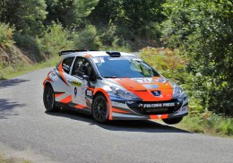 Peugeot 207 s2000 ex italian peugeot works andreucci