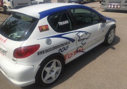 Peugeot 206 gti/rc grupo n asfalto