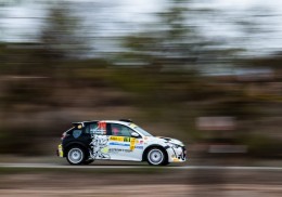 Peugeot 208 rally4 asfalto / tierra