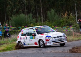 Peugeot !06 volante fga