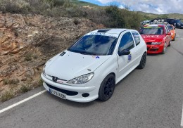 Peugeot 206 gti rc