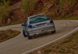 Peugeot 206 gti rally