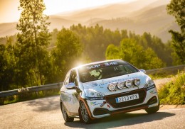 Peugeot 208 1.2 puretech  campeon n3 2022  e vice campeon 2023 portugal