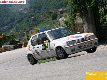 Se vende peugeot 205 rallye