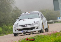 Peugeot 206 f200