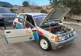 Peugeot 205 rally gr.n