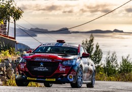 Peugeot 208 rally4