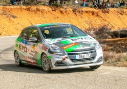 Peugeot 208 n3 rally