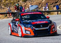Vendo  peugeot 308tcr  montaña, circuito tcr f.ia