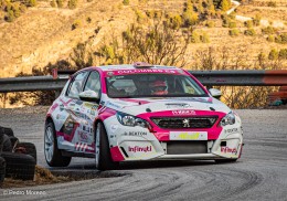 Peugeot 308 racing cup (pasado a rally ) 