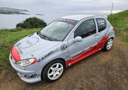 Peugeot 206 xs