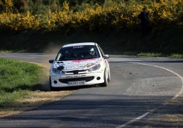 Peugeot 206 rally