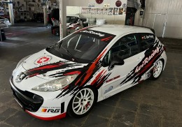Peugeot 207 cup 240cv