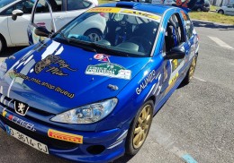 Peugeot 206 rc