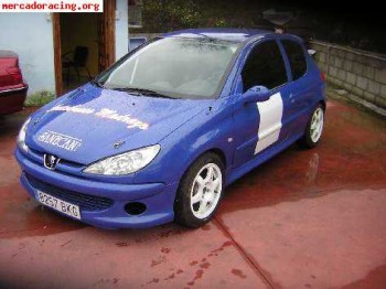 Peugeot 206 gti maximo grupo a
