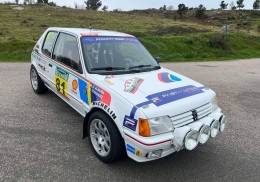 Peugeot 205 gti  fia 5325