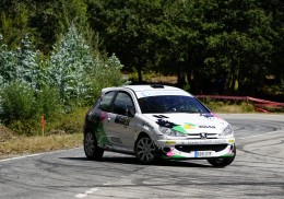 Se vende peugeot 206 rc