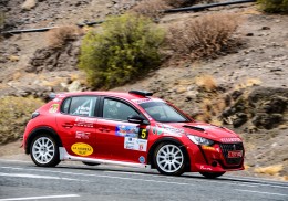 Peugeot 208rally 4
