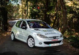 Peugeot 206 xs  