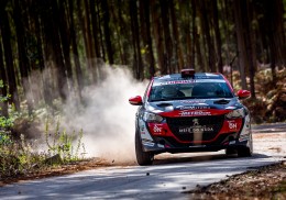 Peugeot 208 rally4