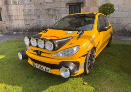 Peugeot 206 rc