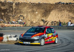 Peugeot 206. tipo desafio