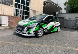 Peugeot 208 r2  #264