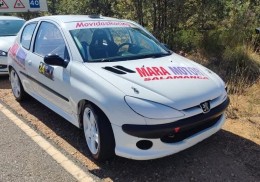 Peugeot 206 gti