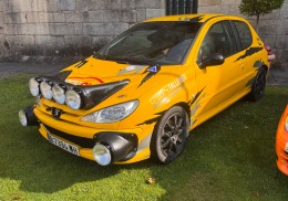 206 rc (precio hasta final de año)