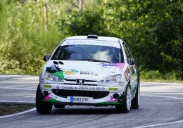 Se vende peugeot 206 rc