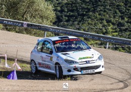 Peugeot 206 xs