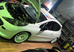 Peugeot 207 competición 