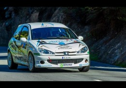 Peugeot 206 182cv 
