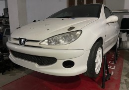 Peugeot 206 trofeo francés