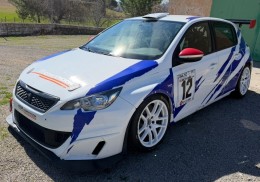 308 cup 