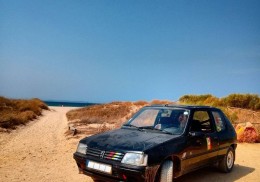 Peugeot 205 xs 1.4 raid