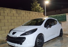 Peugeot 207 cup