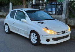 Peugeot 206 trofeo francés