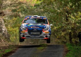 Peugeot 208 r2