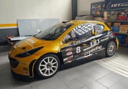 Peugeot 207 tipo s2000 campeon nacional clase 3 