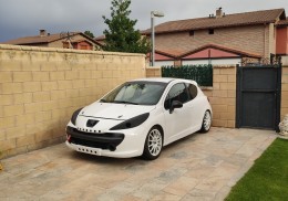 Peugeot 207 cup